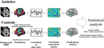 Cognitive theories of autism based on the interactions between brain functional networks
